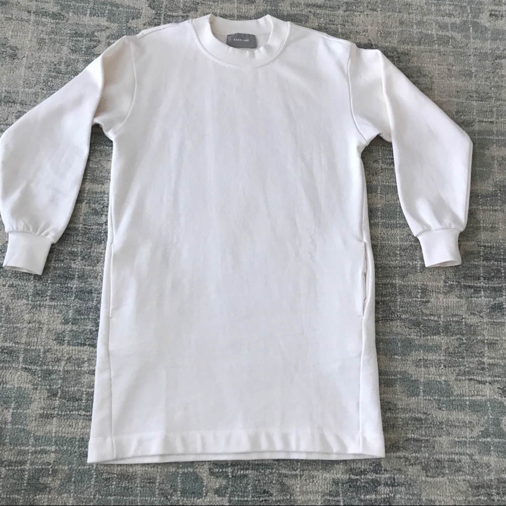 Everlane Sweatshirt dress